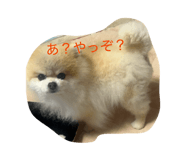844816380