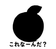 844816567