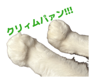 844816755
