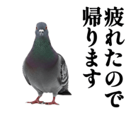 844816857