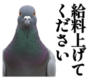 844816876