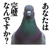844816880