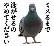 844816884
