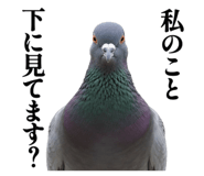 844816885