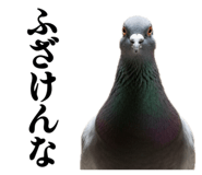 844816887