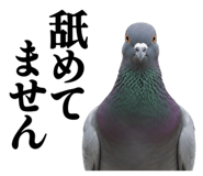 844816888