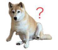 844816925