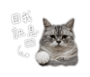 844818586