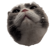 844818785