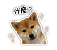 844819336