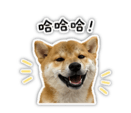 844819340
