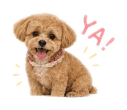 844820213