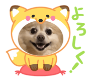 844820684