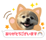 844820686