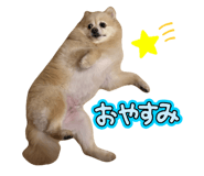 844820687