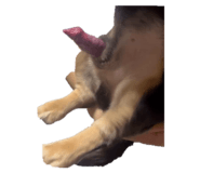 844821143