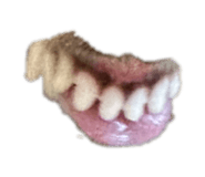 844821150