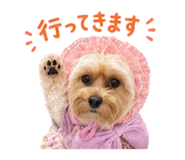 844821267