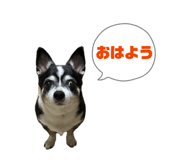 844822185