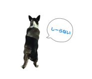 844822187