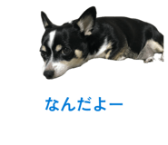 844822191