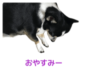 844822192
