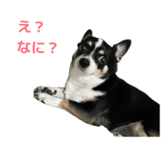 844822196