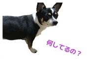 844822197