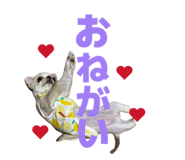 844823940