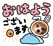844824145