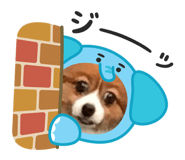 844824156