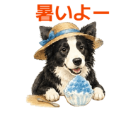 844824435