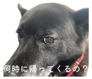 844825233