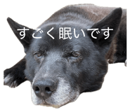 844825236