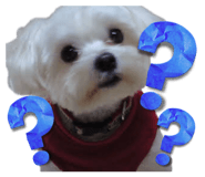 844825251