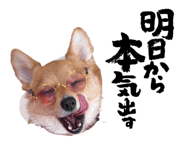 844825392