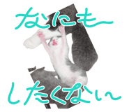844826182