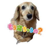 844826676