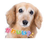 844826688