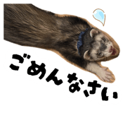 844827358