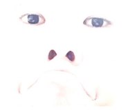 844827483