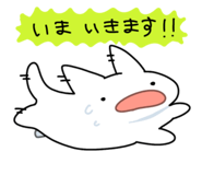 844828496
