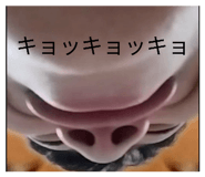 844829023