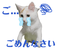 844829907