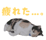 844830086