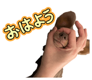 844830099