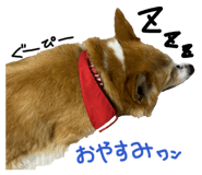 844831210