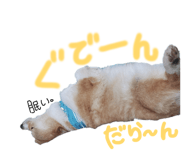844831211