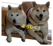 844831253