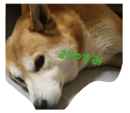 844831254